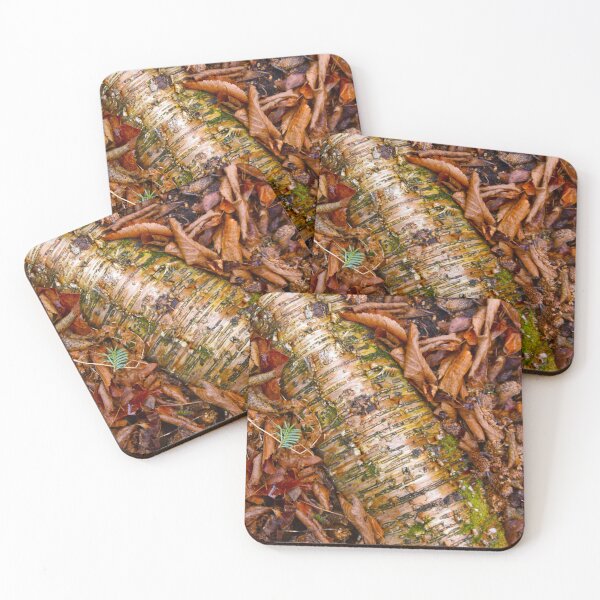 Item preview, A cherry tree in the forest in autumn designed and sold by Claude Laprise.