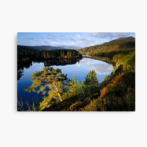 Glen Affric Sunrise Canvas Print