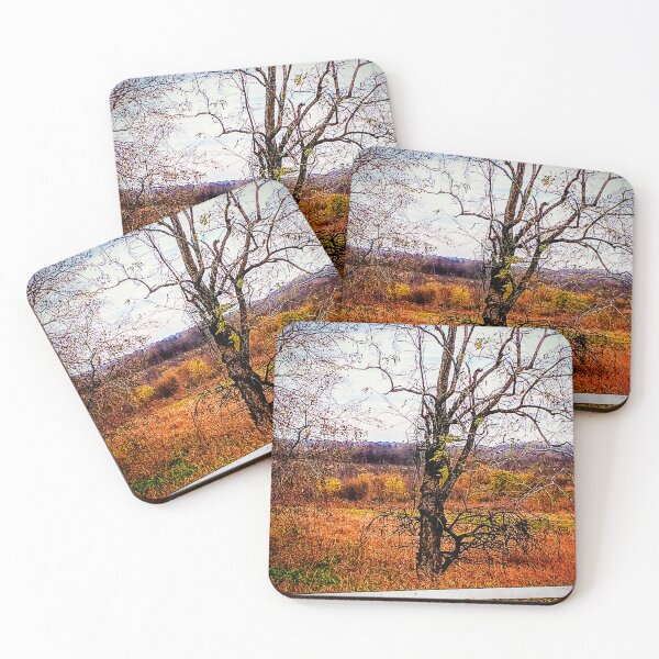 Item preview, El bluegrass se vuelve dorado designed and sold by Stratospheric Stray Studio .