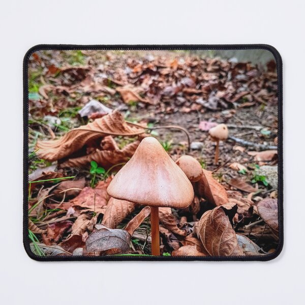 Item preview, Hidden Treasure  designed and sold by Stratospheric Stray Studio .