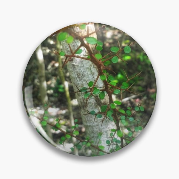 Item preview, Gardens designed and sold by Larrysphotos.