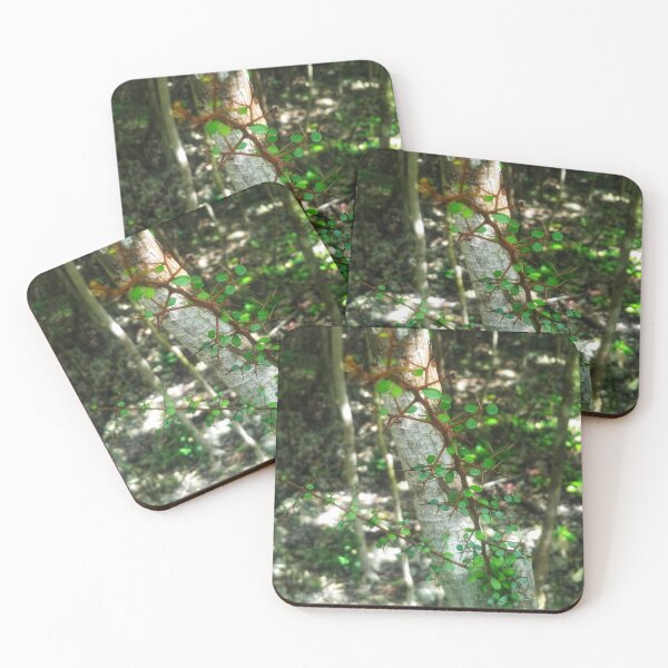Item preview, Gardens designed and sold by Larrysphotos.