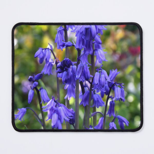 Item preview, Spanish Bluebells designed and sold by pinkal.