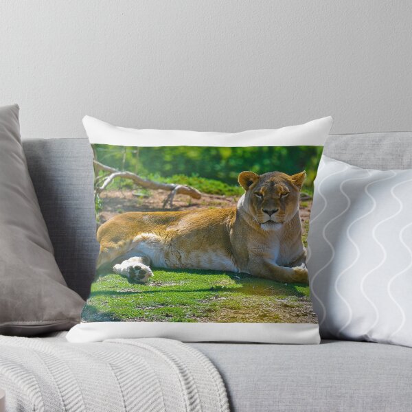 Item preview, Lioness at Werribee designed and sold by Tom Newman.