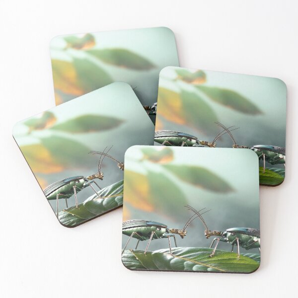 Item preview, Two Greanleaf Bugs designed and sold by PictureFactory.