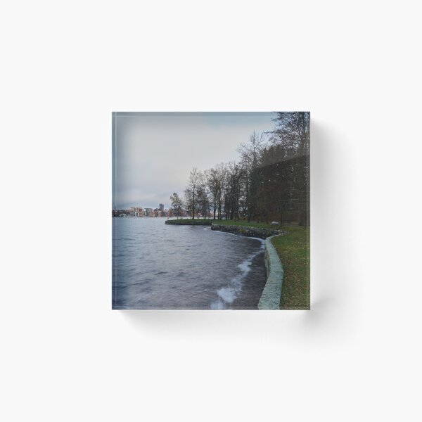 Item preview, Tampere City. Late November at Arboretum designed and sold by Jouko Lehto Photography.