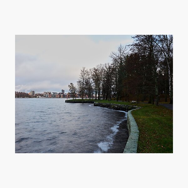 Item preview, Tampere City. Late November at Arboretum designed and sold by Jouko Lehto Photography.