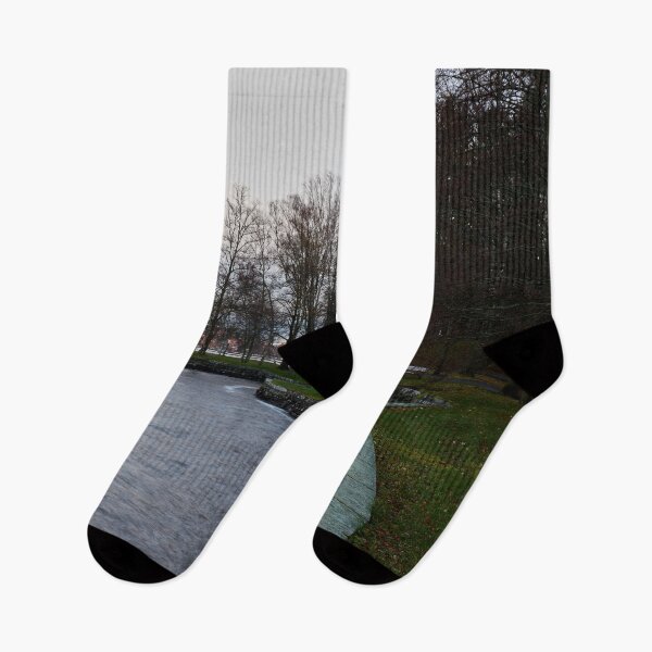 Item preview, Tampere City. Late November at Arboretum designed and sold by Jouko Lehto Photography.
