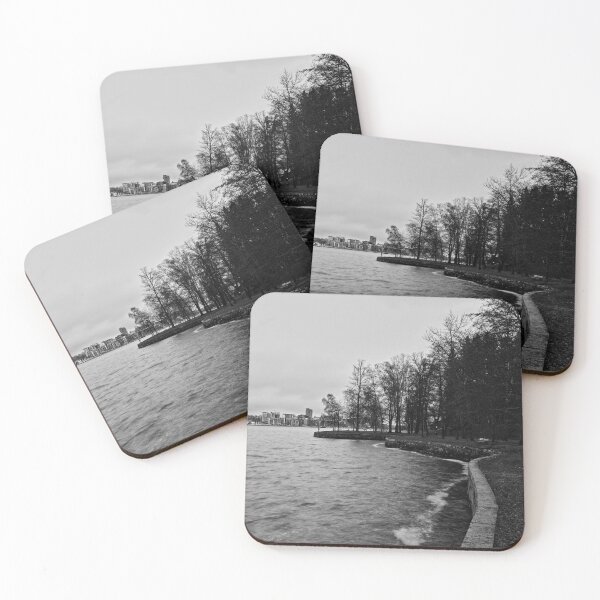 Item preview, Tampere City. Late November at Arboretum bw designed and sold by Jouko Lehto Photography.