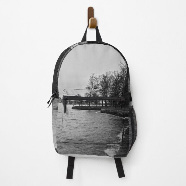 Item preview, Tampere City. Late November at Arboretum bw designed and sold by Jouko Lehto Photography.