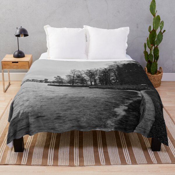 Item preview, Tampere City. Late November at Arboretum bw designed and sold by Jouko Lehto Photography.