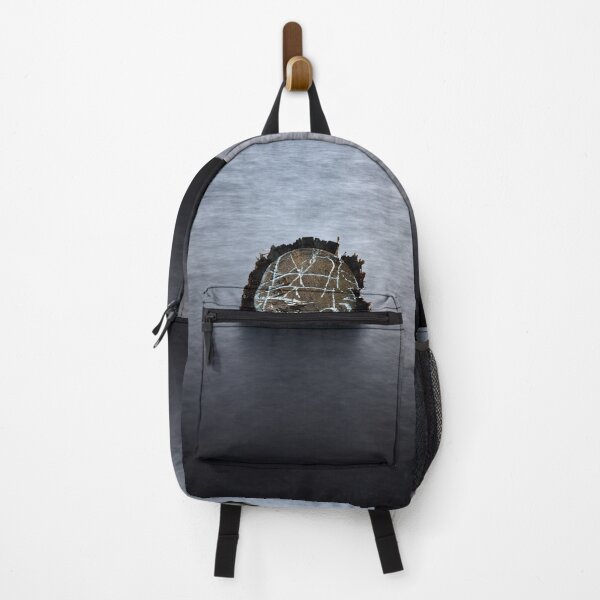 Item preview, From the bottom. Late November at Arboretum designed and sold by Jouko Lehto Photography.