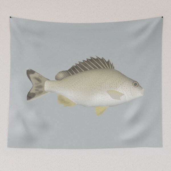 Item preview, Yellowtail Trumpeter designed and sold by fishfolkart.
