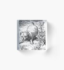 The Puppy Acrylic Block