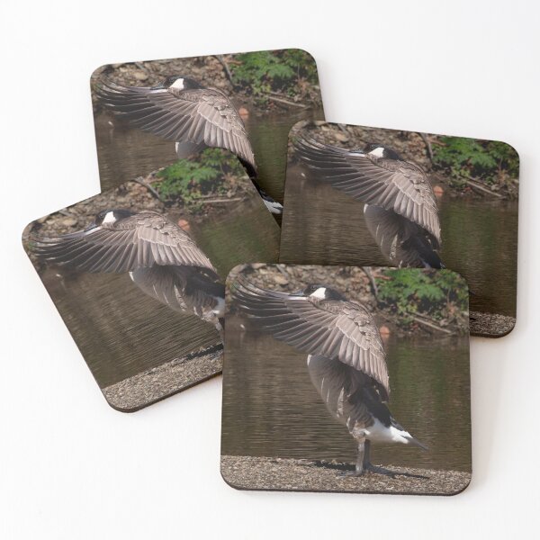 Item preview, The Feathered Crusader designed and sold by Split2ndPhotos.