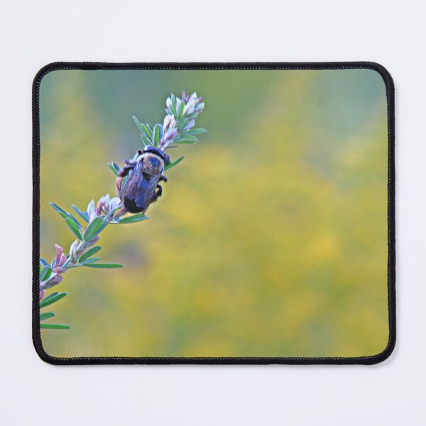 Item preview, Carpenter Bee at Rest designed and sold by Artsy-Creator.