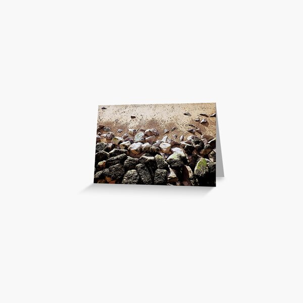 Rock on the Beach by En Plein Air Elderescence TV Greeting Card