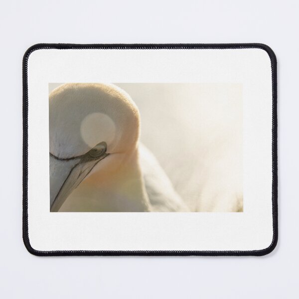 Item preview, Golden Gannet designed and sold by Maxime Bervoets.