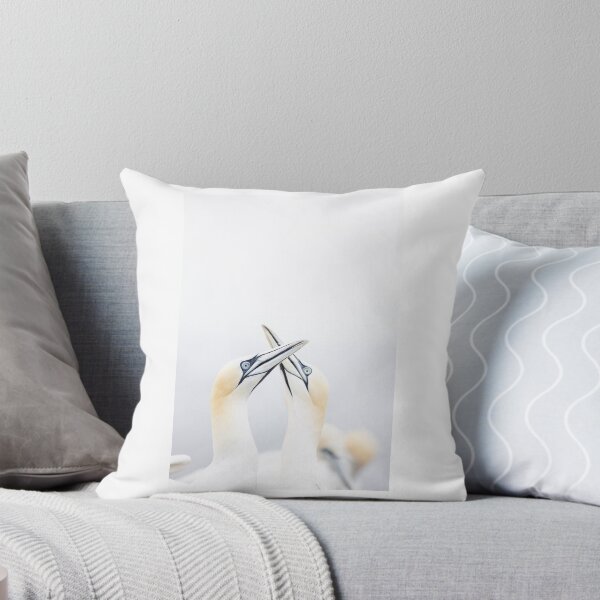 Item preview, Gannet greating designed and sold by Maxime Bervoets.