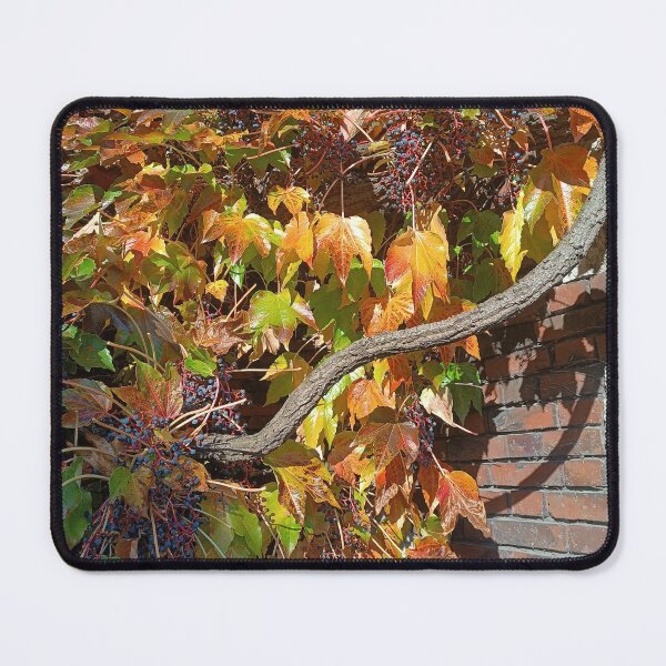 Item preview, Wildwine, autumn, leaves designed and sold by colorgallery11.