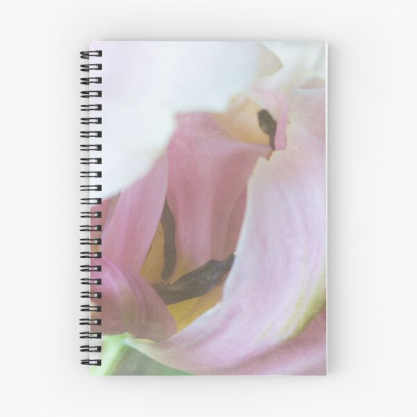 Artikelvorschau, Die knospende rosa Tulpe entworfen und verkauft von gingerfancy.