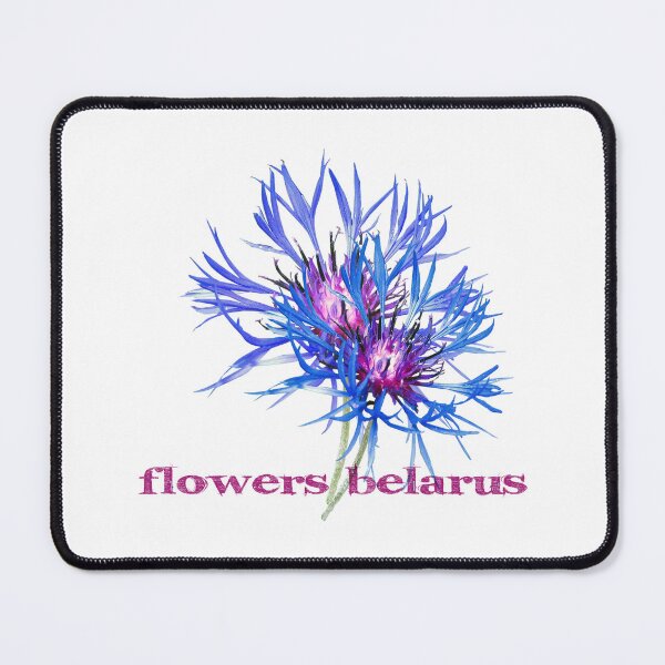Item preview, flower cornflower designed and sold by ARTEMIDA'S STORE.