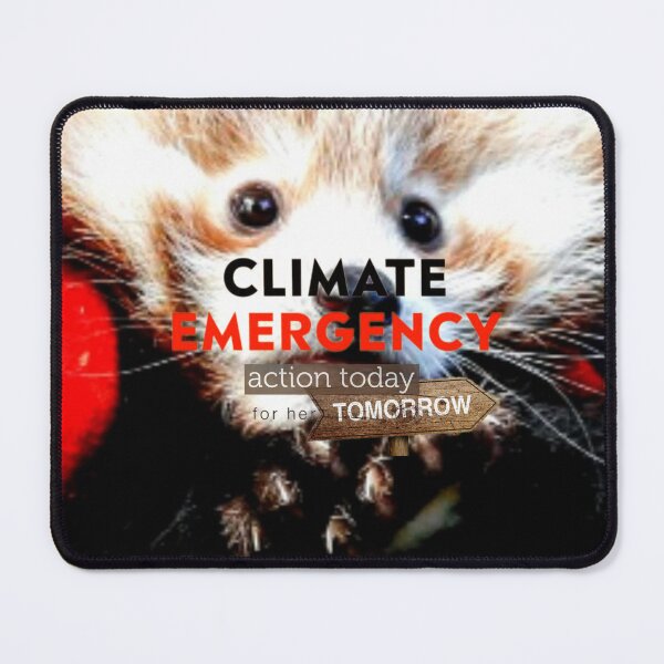 Item preview, Baby Panda - Climate Emergency  designed and sold by ontological.