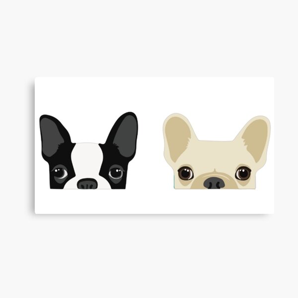 Artikel-Vorschau von Boston Terrier und französische Bulldogge, designt und verkauft von fashionwardrobe.