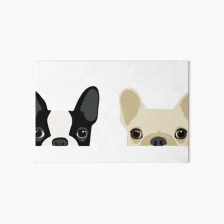 Boston Terrier And French Bulldog Art Board Print