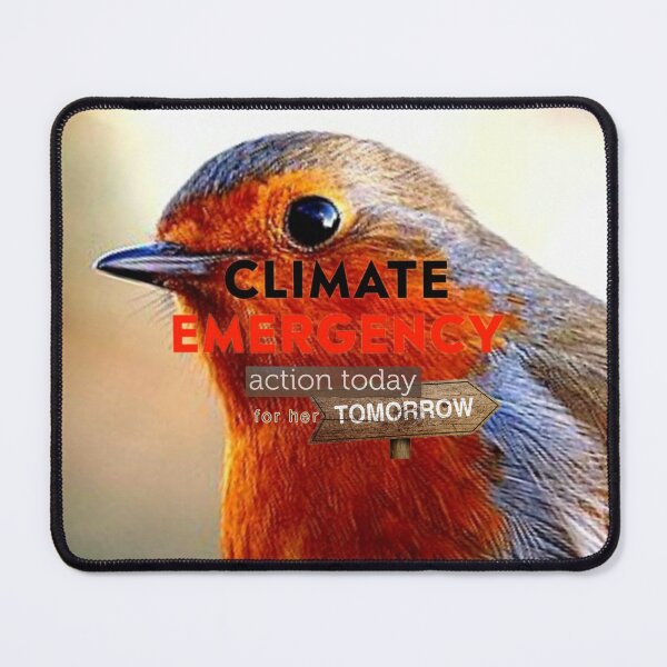 Item preview, Fledgling - Climate Emergency  designed and sold by ontological.