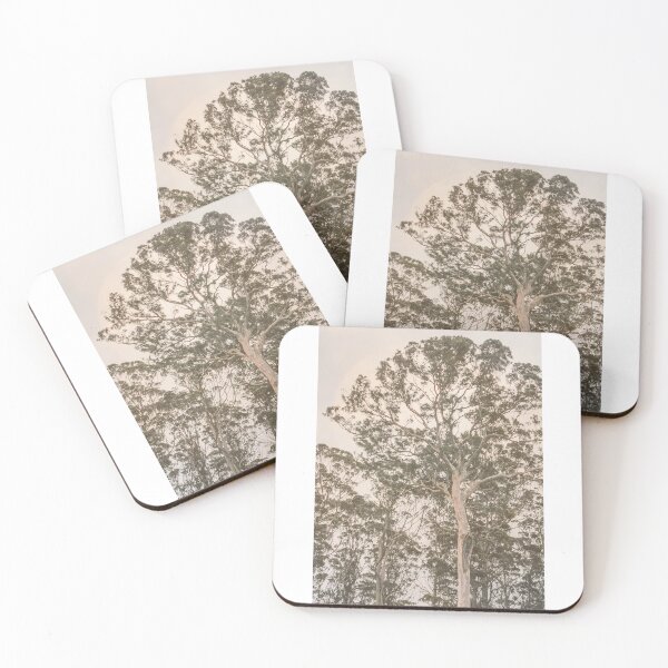 Item preview, Pine Tree Crown Wall Art, Soothing Forest Decor, Crown Shyness Inspired Artwork, Nature Lover Print, Forest Art, Cottage Core Vibes designed and sold by DazzledPenguin.