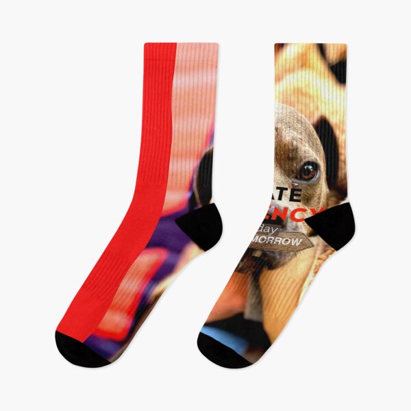 Item preview, Puppy - Climate Emergency  designed and sold by ontological.