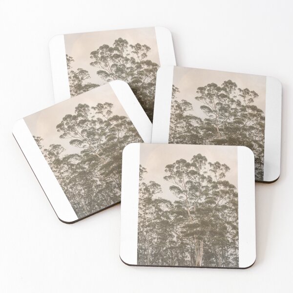 Item preview, Pine Tree Sky Crown Wall Art, Soothing Forest Decor, Crown Shyness Inspired Artwork, Nature Lover Print, Forest Art, Cottage Core Vibes designed and sold by DazzledPenguin.