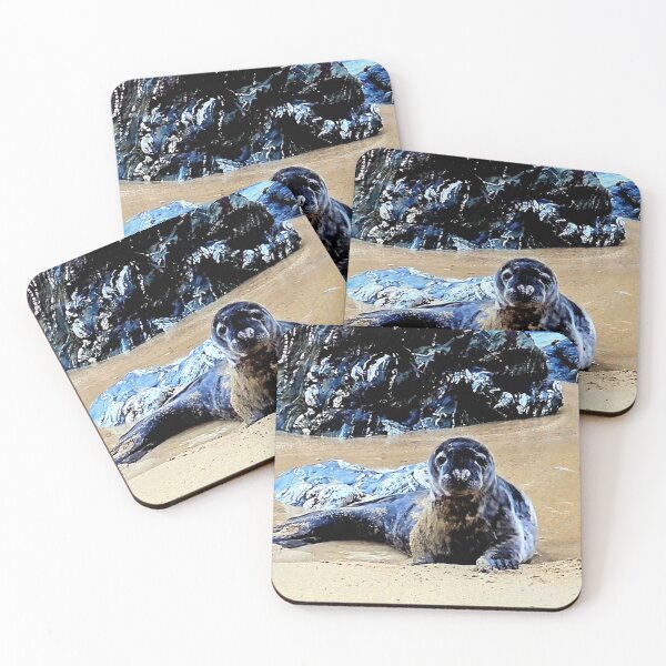 Item preview, Lilo la foca designed and sold by Cornwallart.