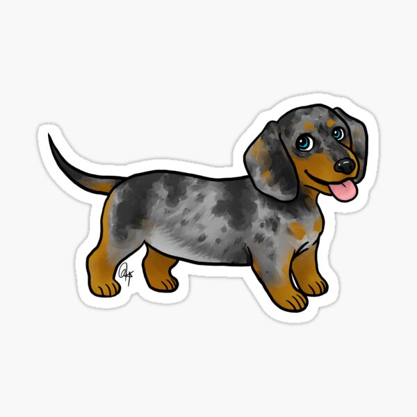 Item preview, Custom - Dachshund - Zio designed and sold by Jennifer Stolzer.