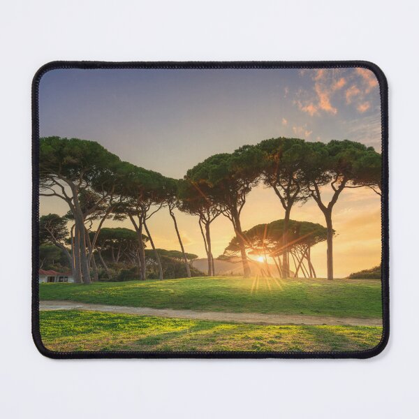 Item preview, Baratti Stone Pines designed and sold by Stefano Orazzini.