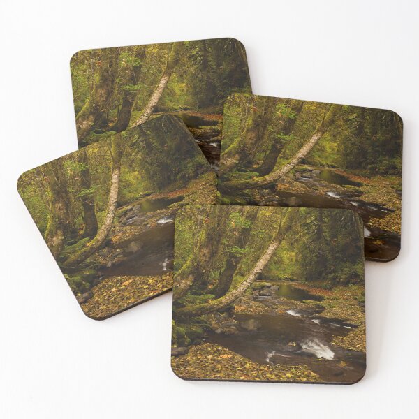 Item preview, Red Alders dropping fall color along Sweet Creek designed and sold by jklune.