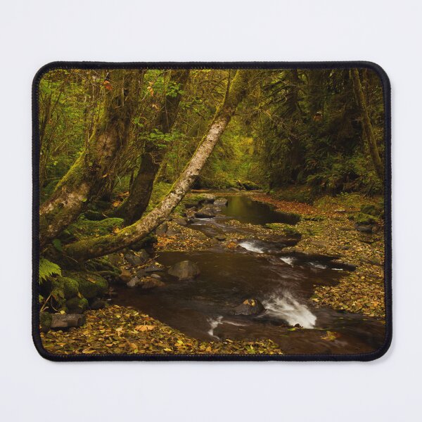 Item preview, Red Alders dropping fall color along Sweet Creek designed and sold by jklune.