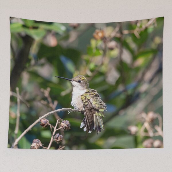 Item preview, Ruby-Throated Hummingbird In My Crepe-Myrtle designed and sold by wenzler.