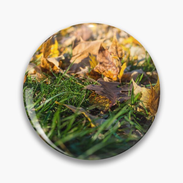 Artikelvorschau, Herbstlaub im Freien entworfen und verkauft von LensLily.
