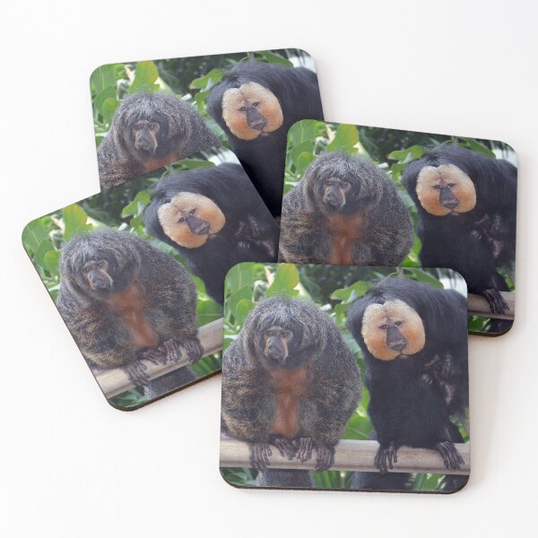 Item preview, Female And Male Saki Monkeys designed and sold by Savannah Gibbs.