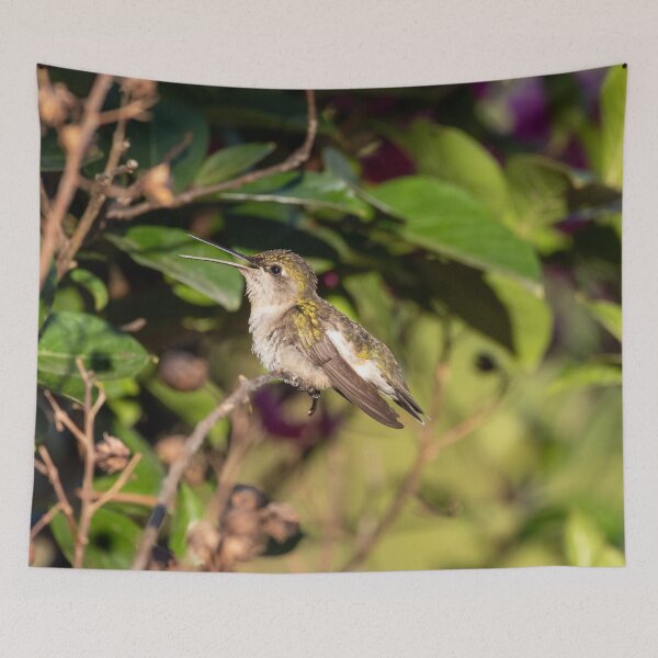 Item preview, Ruby-Throated Hummingbird In My Crepe-Myrtle designed and sold by wenzler.