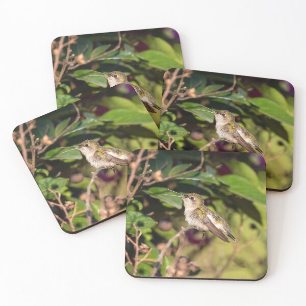 Item preview, Ruby-Throated Hummingbird In My Crepe-Myrtle designed and sold by wenzler.
