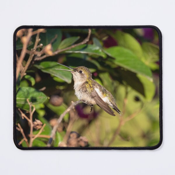 Item preview, Ruby-Throated Hummingbird In My Crepe-Myrtle designed and sold by wenzler.