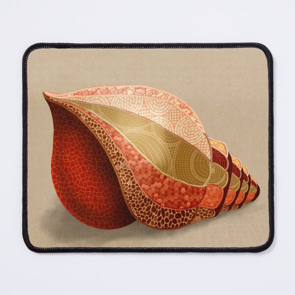 Item preview, Mosaic Shell designed and sold by Ilona Abou-Zolof.