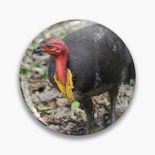 Artikelvorschau, Australischer Buschtruthahn entworfen und verkauft von BirdsAlive.