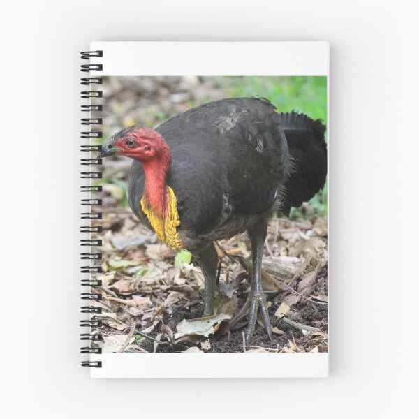 Item preview, Pavo australiano designed and sold by BirdsAlive.