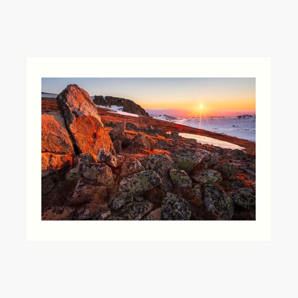 Art Print