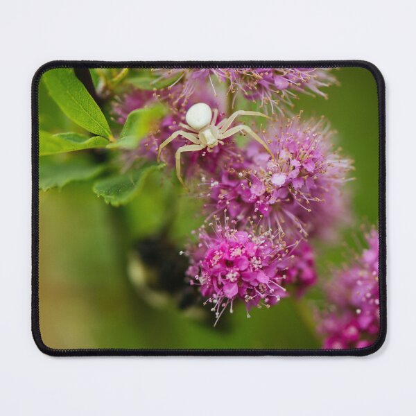 Item preview, Crab spider designed and sold by millivedder.