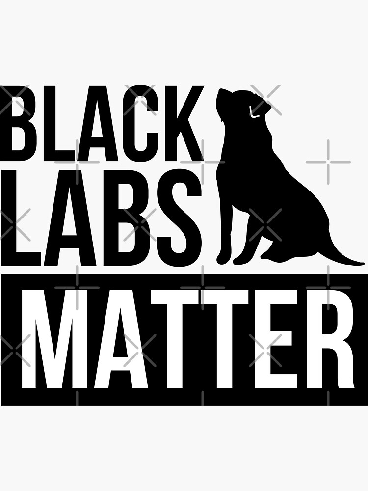 CELYCASY - Decalcomania Con Labrador, Labrador Retriever Decal - Foto 13